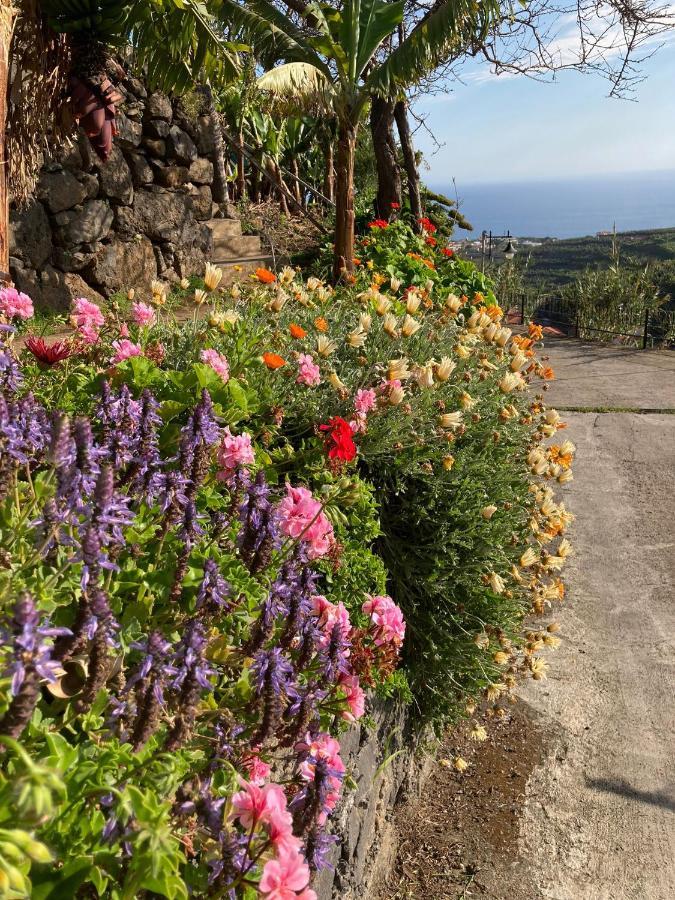 Fazenda Do Sousinha Hotel Funchal  Kültér fotó